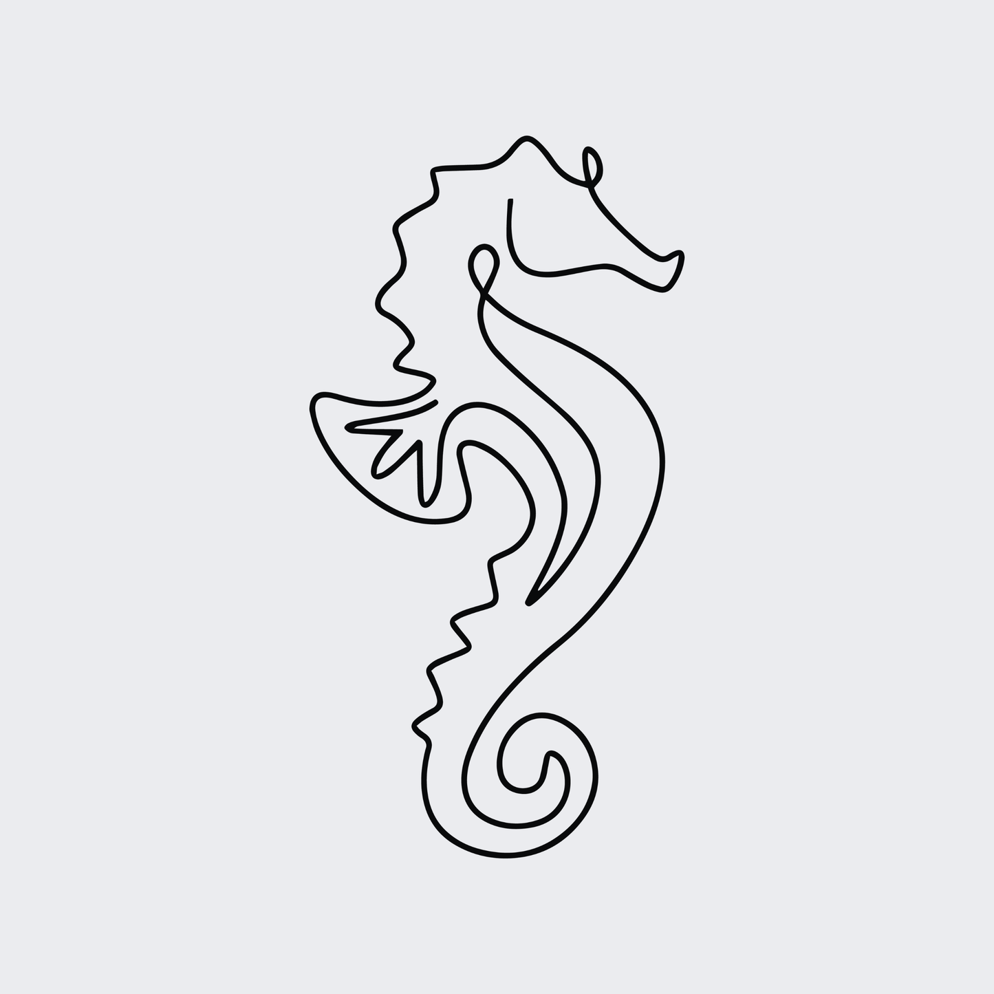 Mini Seahorse