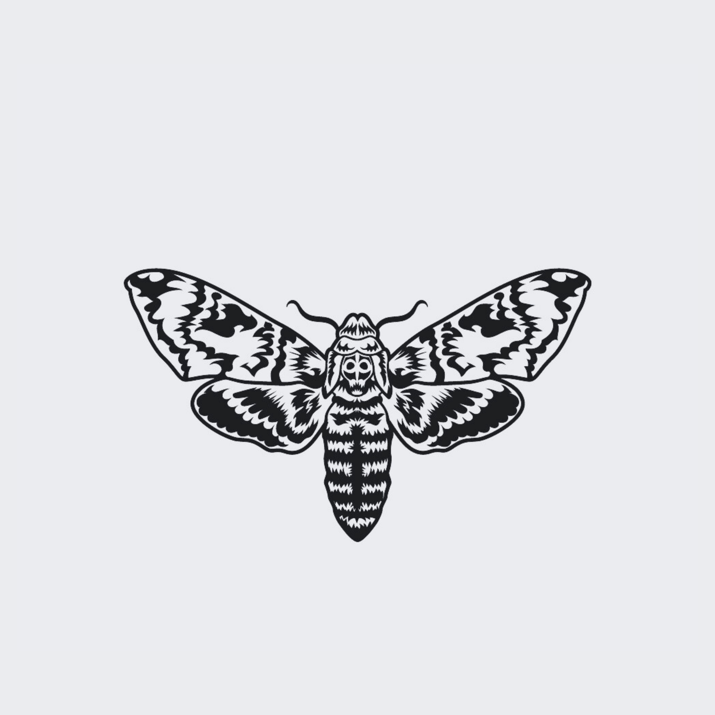Death Hawkmoth