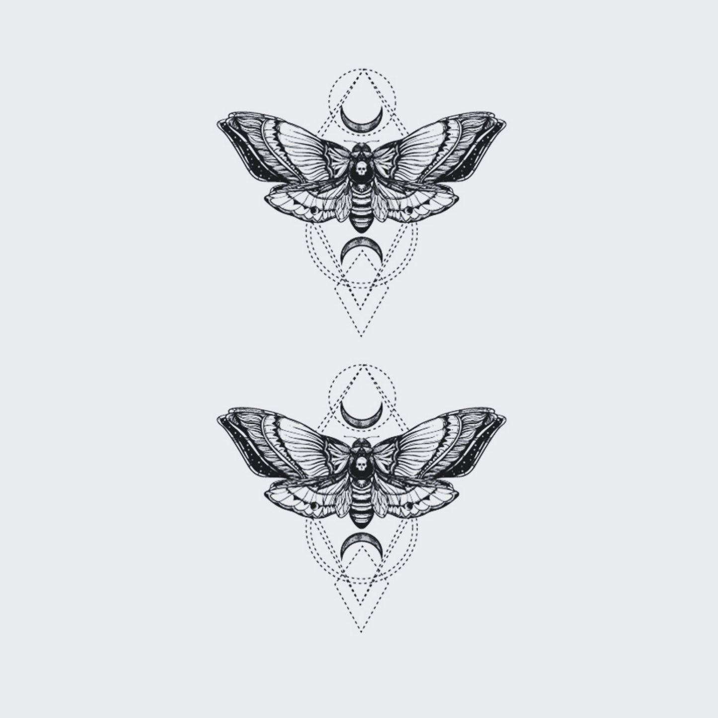 Double Owl