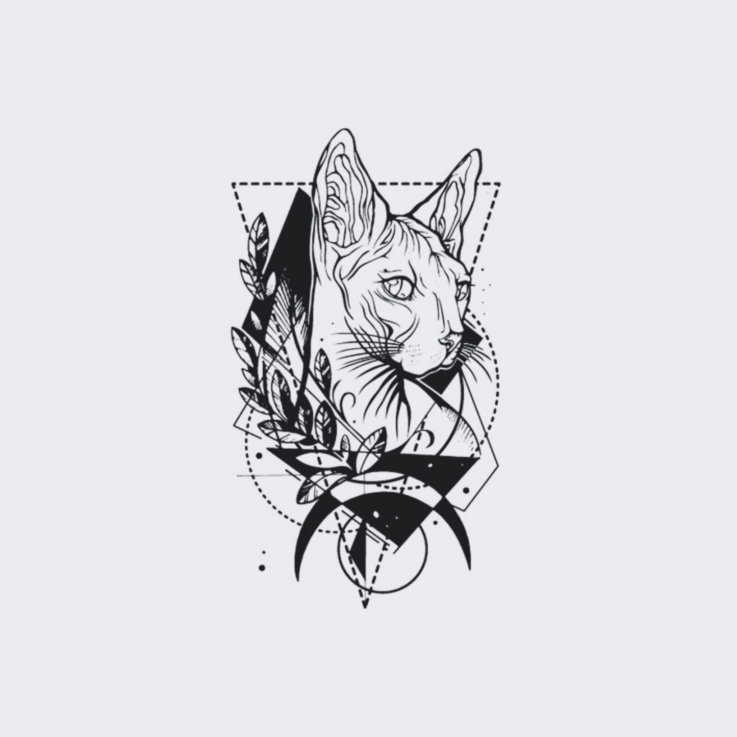 Sphinx Cat