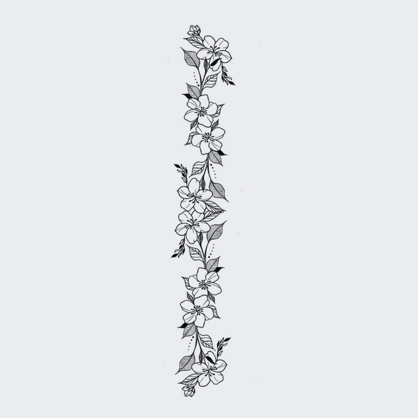 Roses - Spine