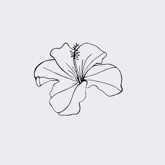 Lilly