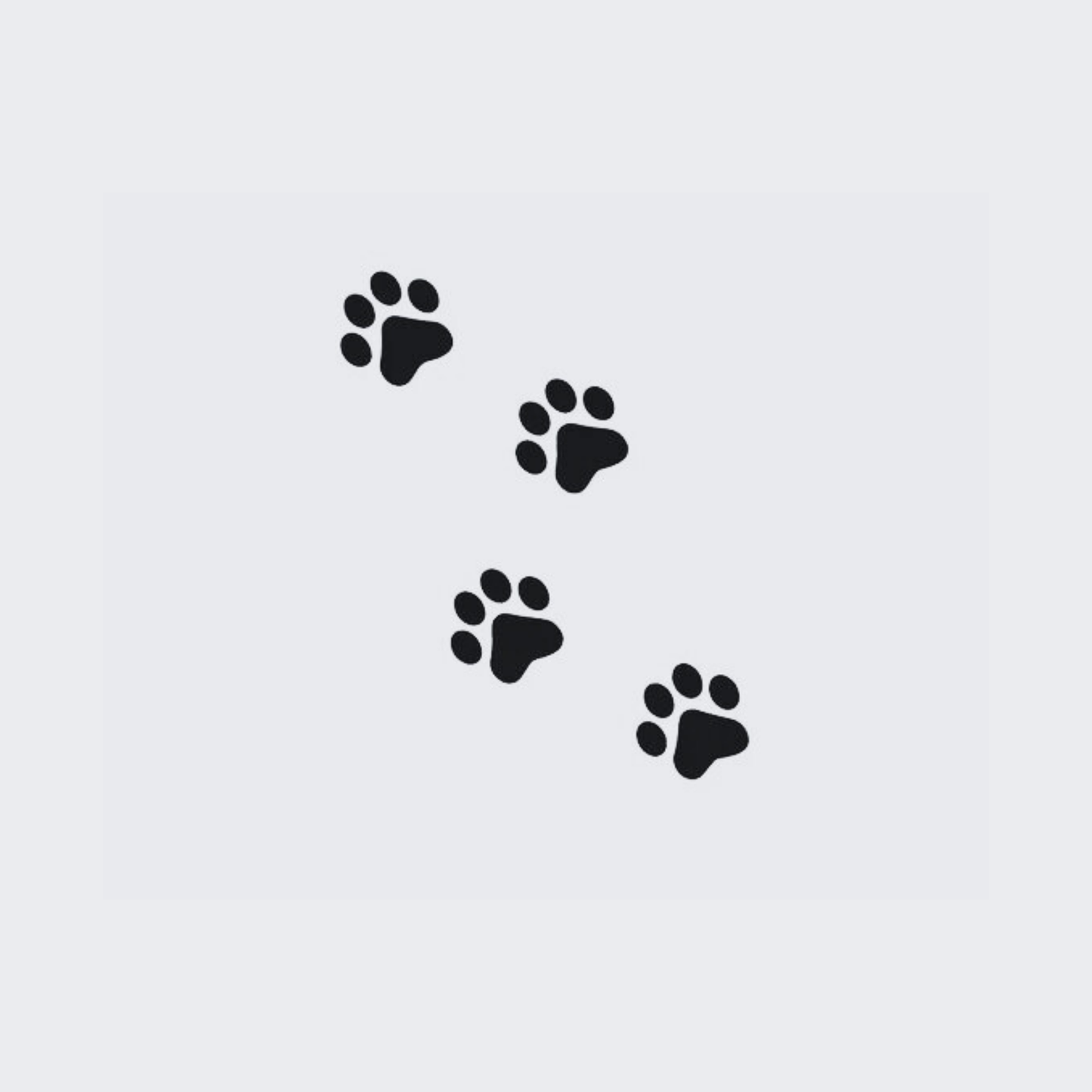 4 Paws