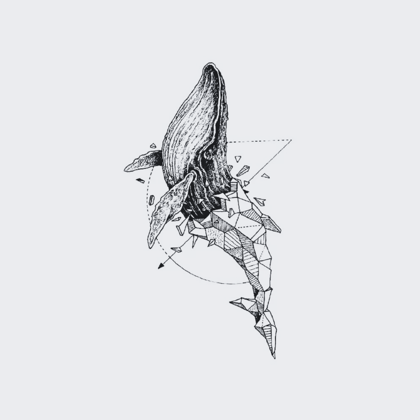 Geometric Whale