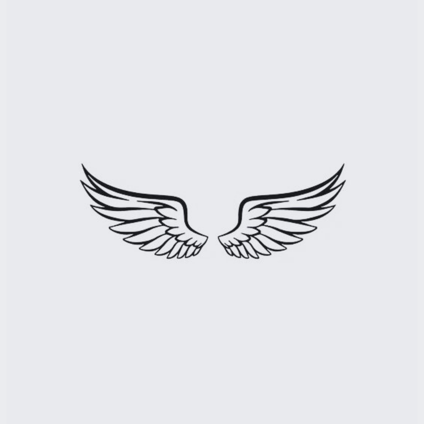 Wings
