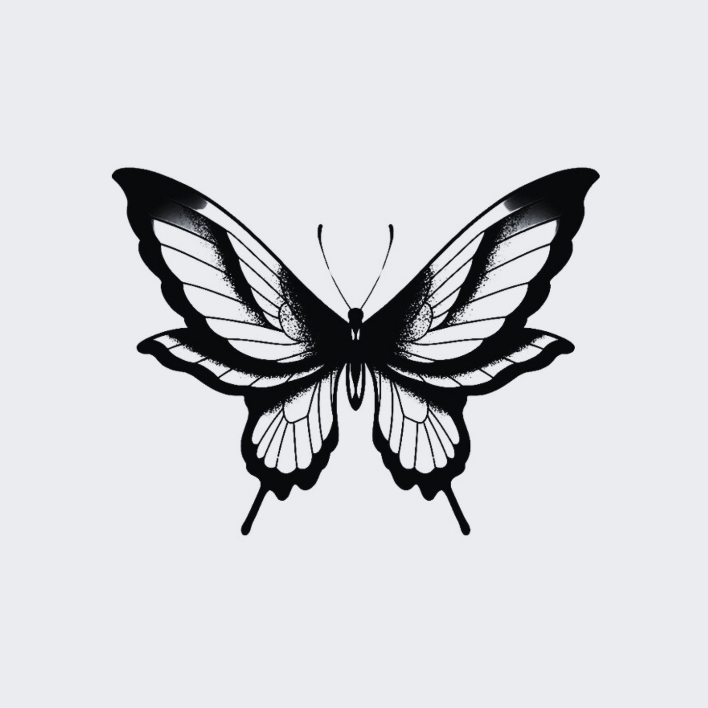 Wild Butterfly