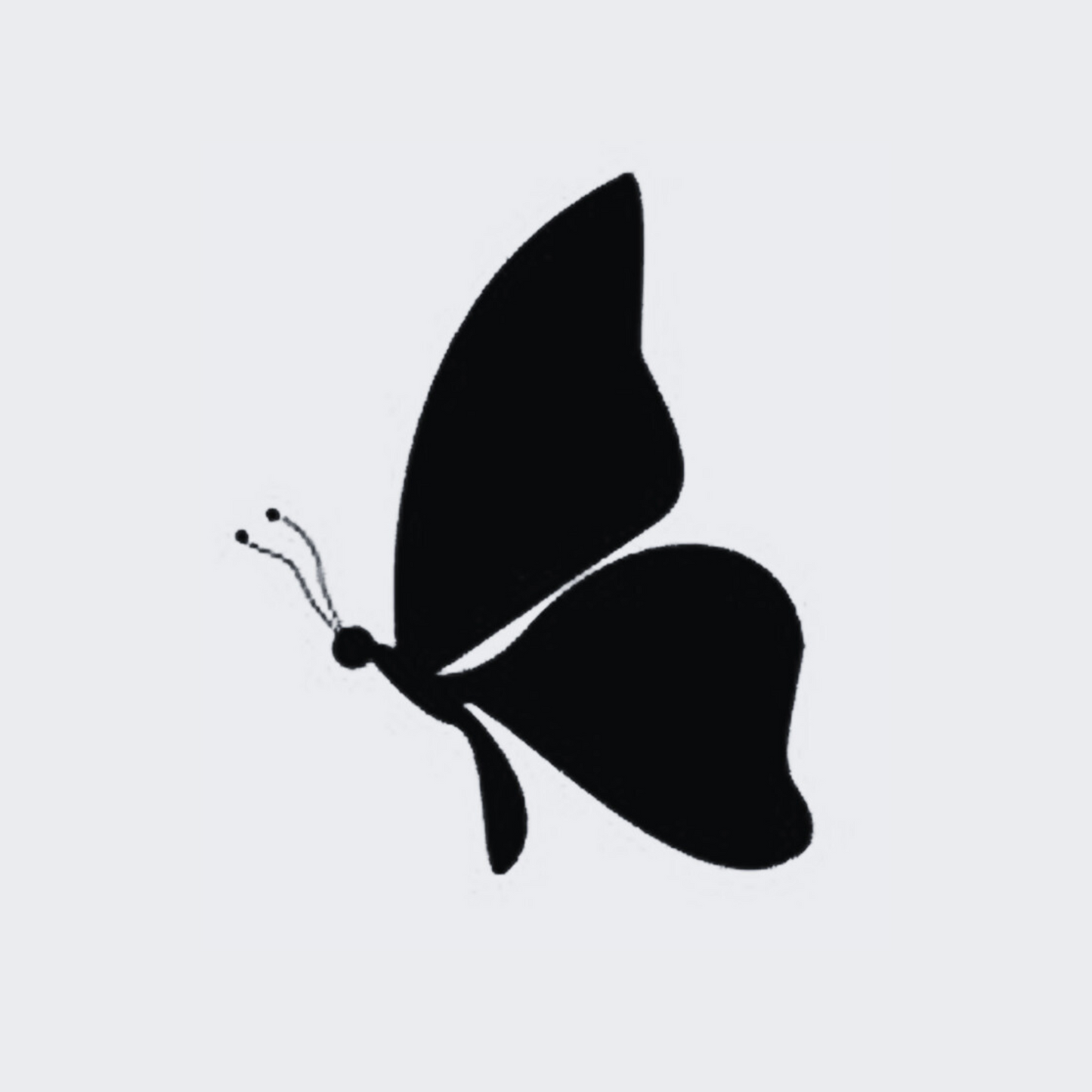 Butterfly's Shadow