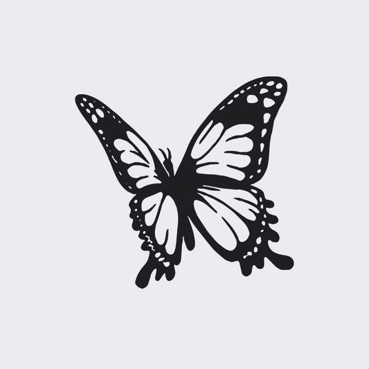 Butterfly 101