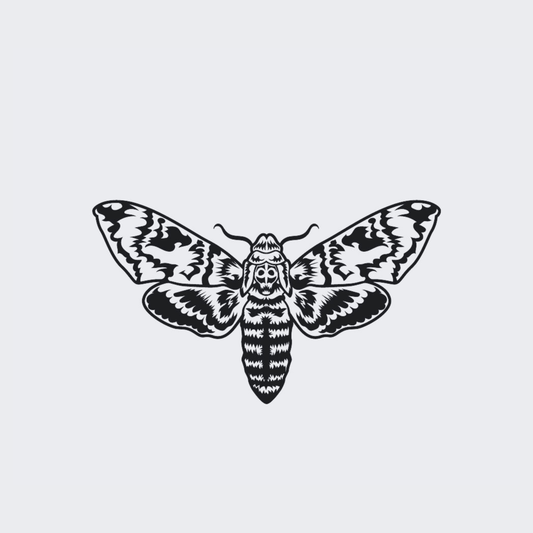 Death Hawkmoth