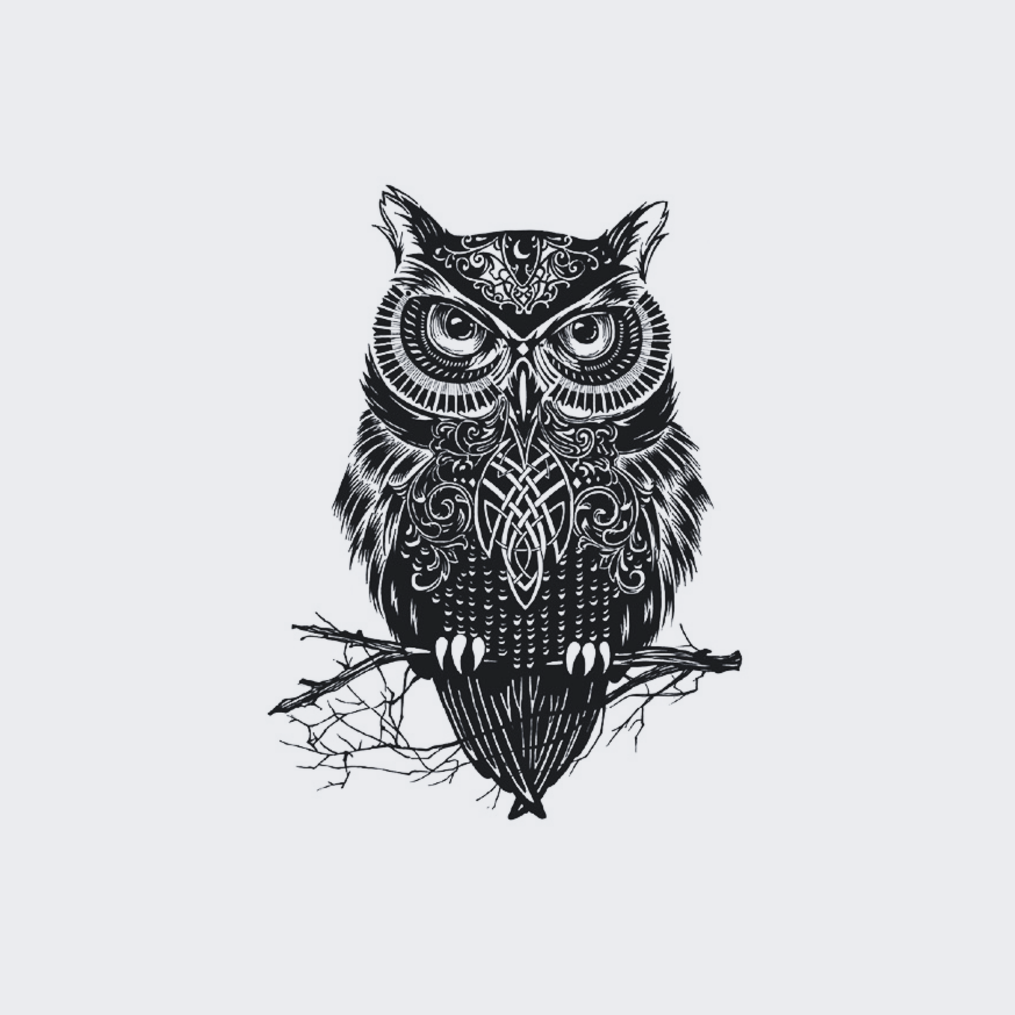 Ornate Owl