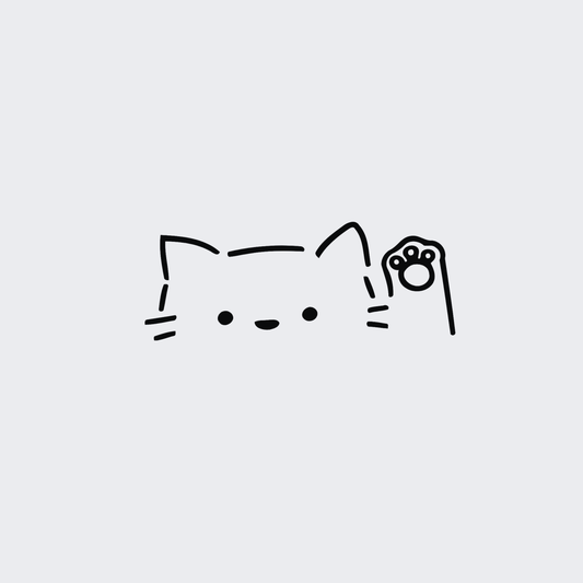 Hello from Kitty