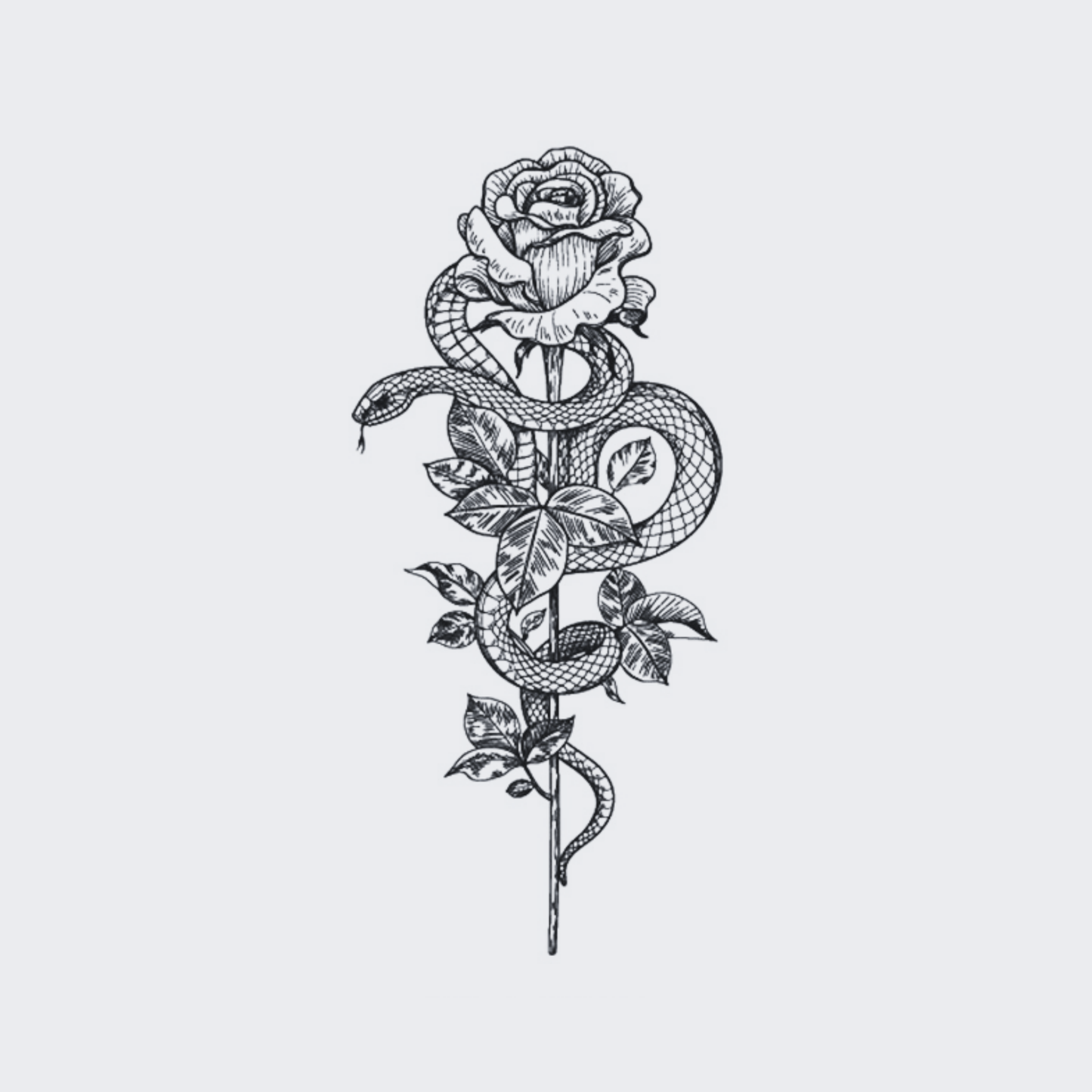 Venomous Beauty