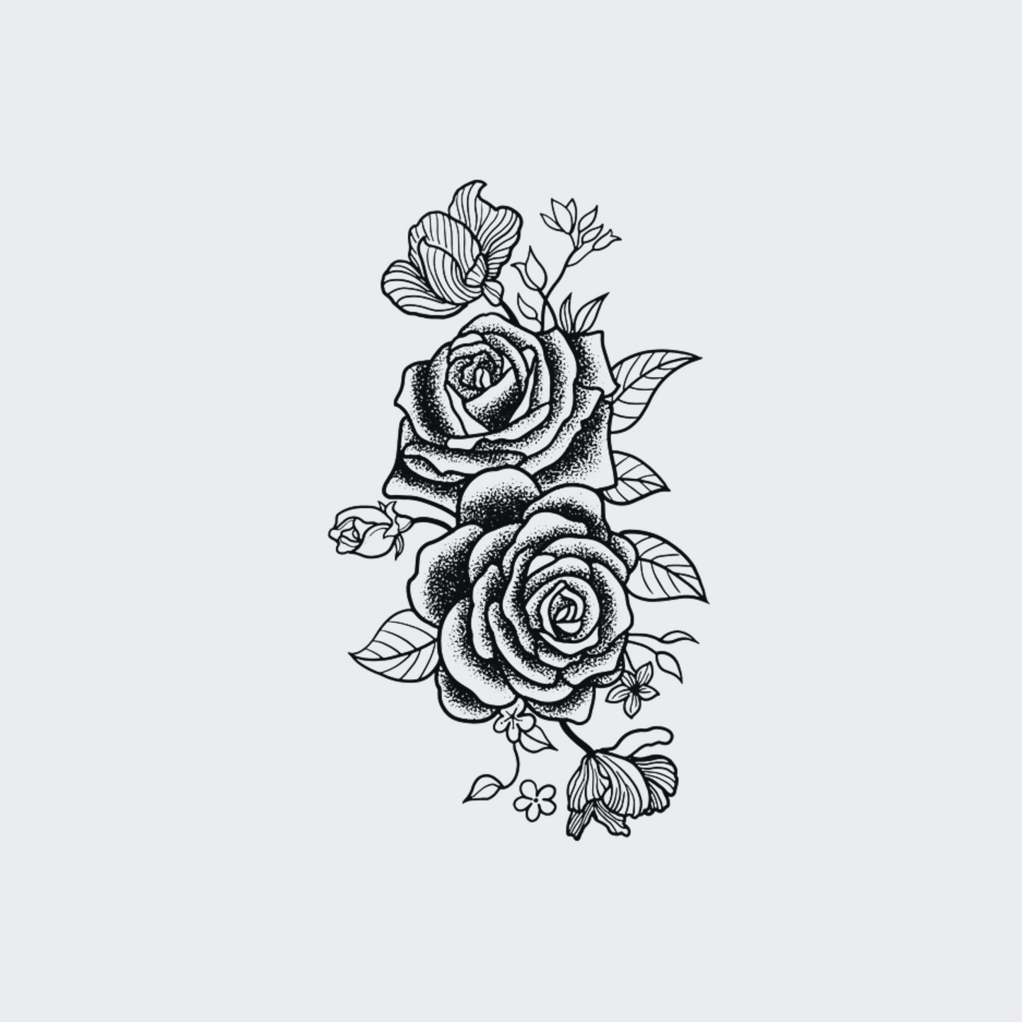 Bloom