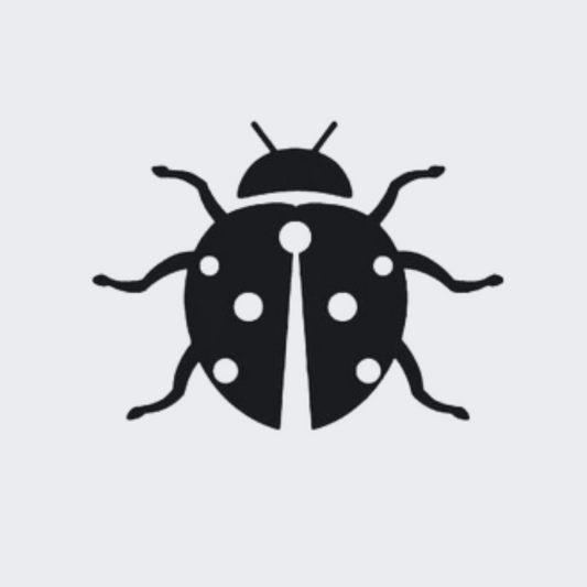 Coccinelle