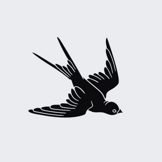 Swallow Bird