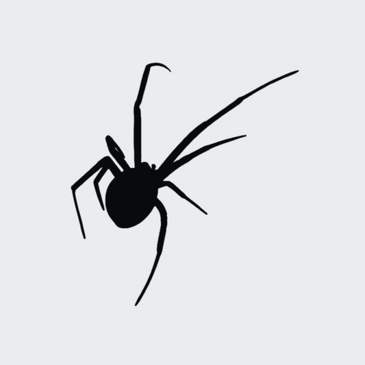Wicked Spider