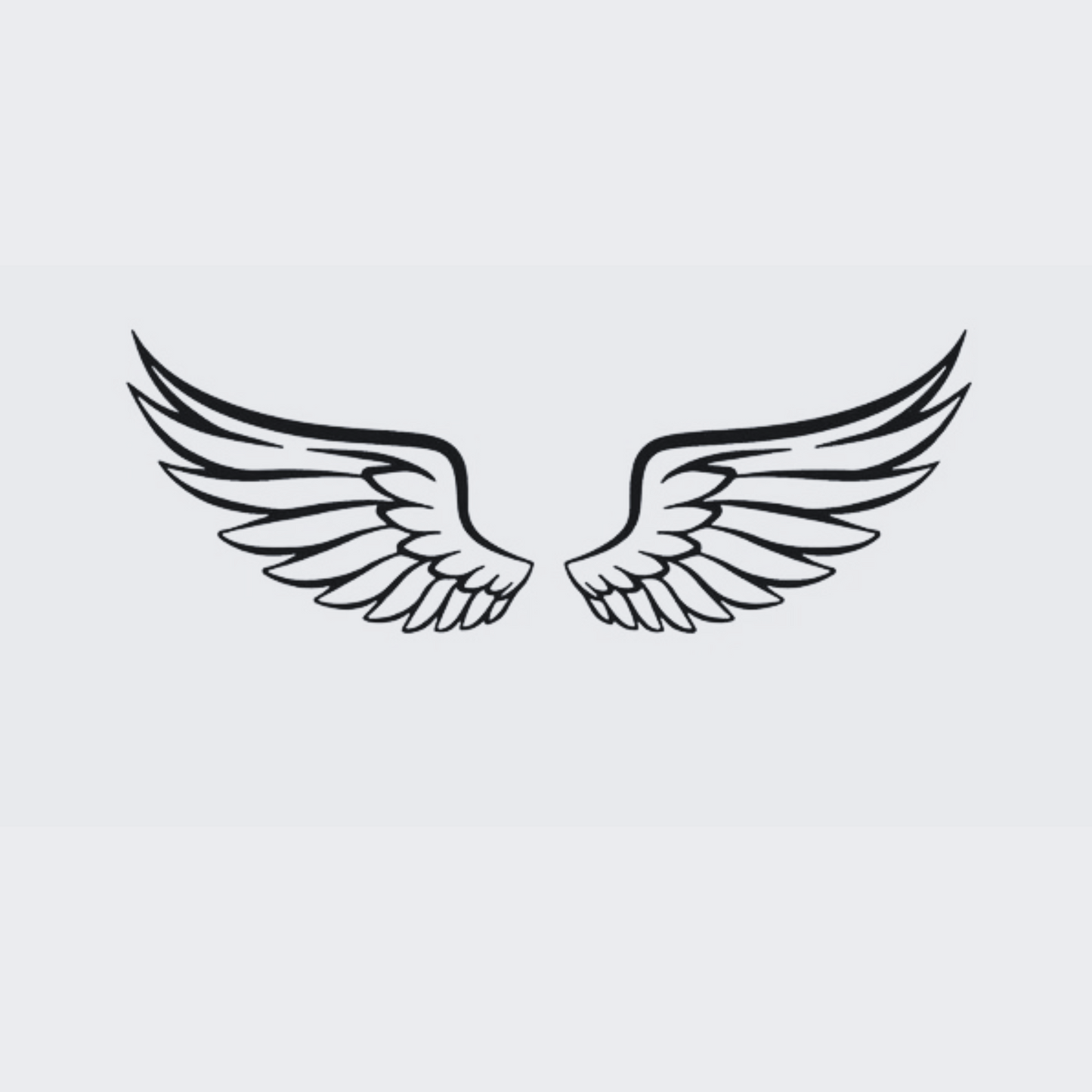 Flying Wings