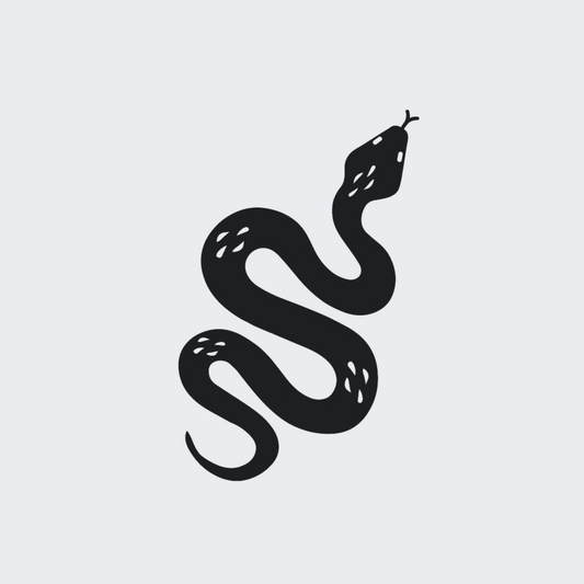 Python Snake