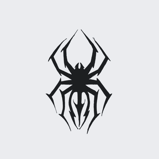 Spider 101