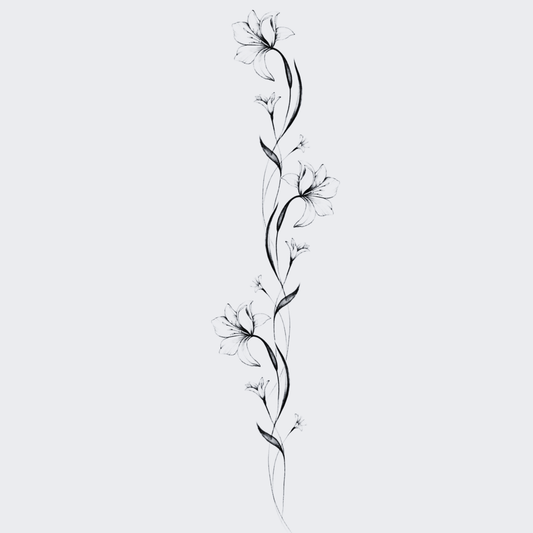 Lily Stem