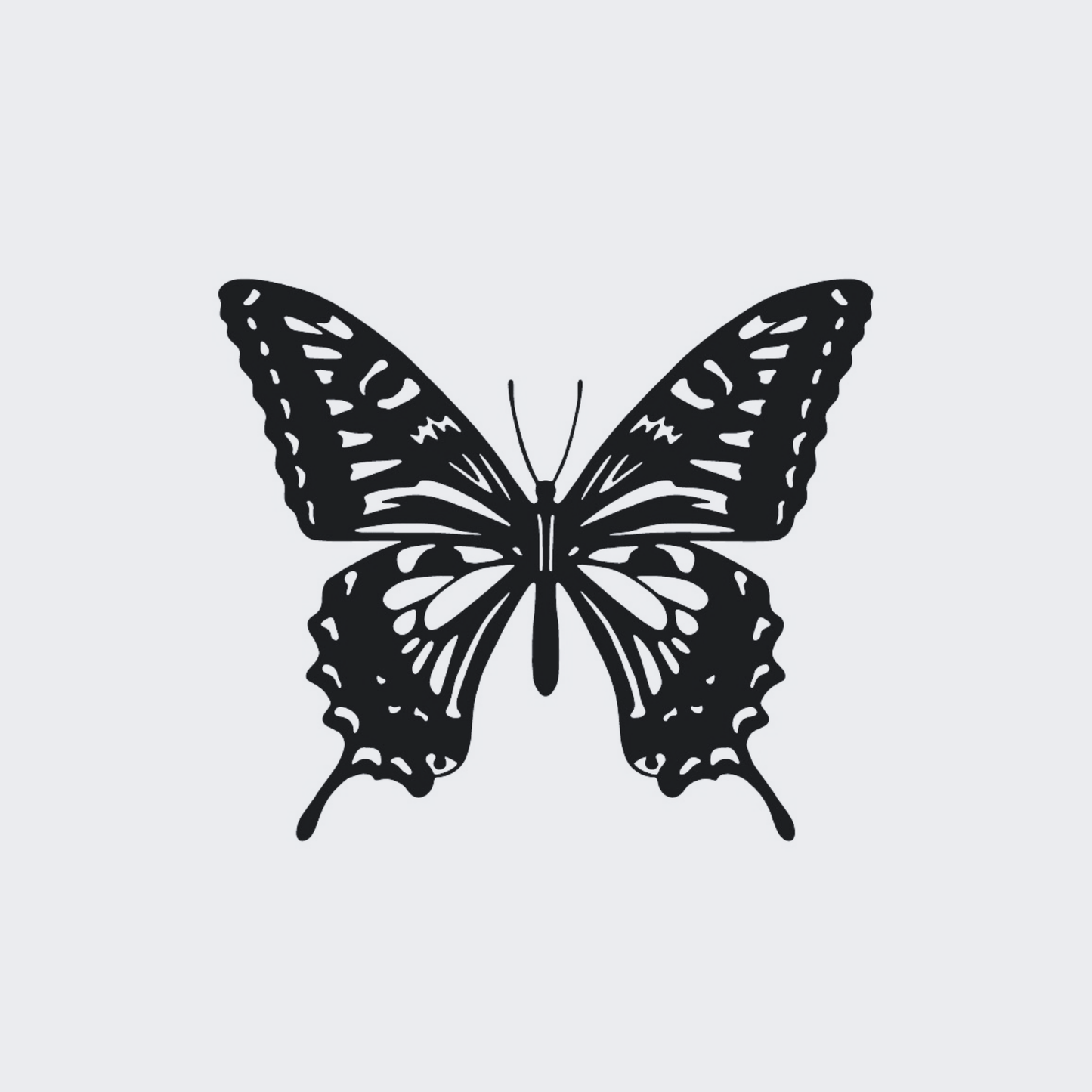 Butterfly 102