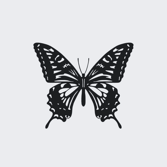 Butterfly 102
