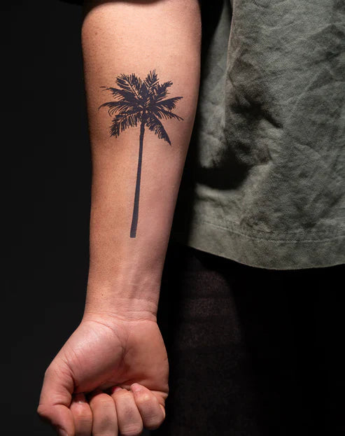 Palm Tree
