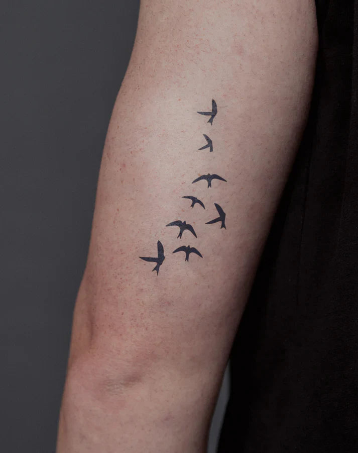 Flying Herd