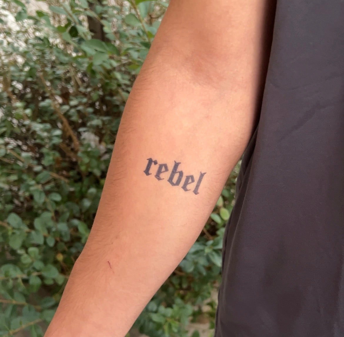 Rebel