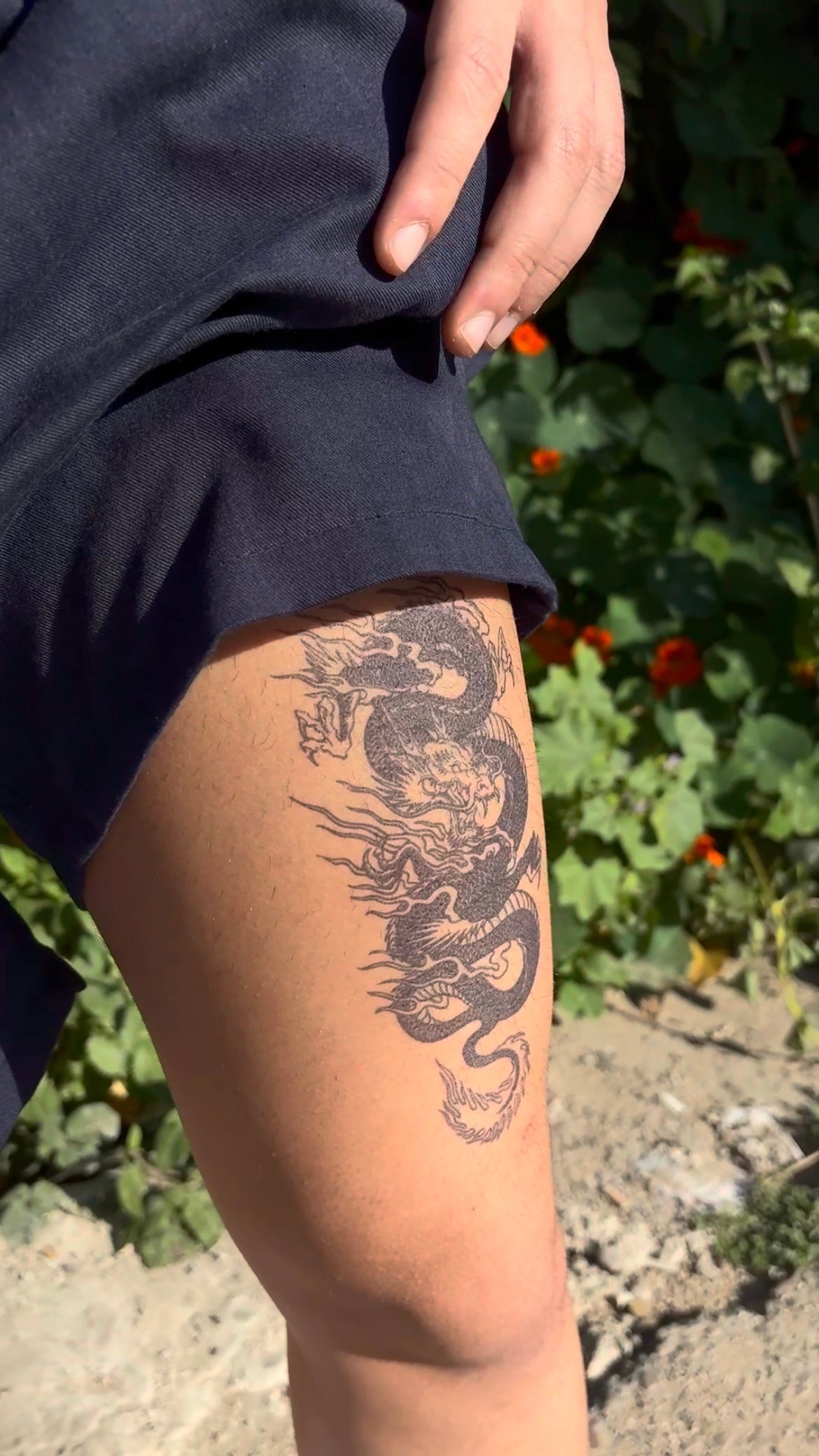 Asian Dragon