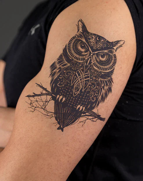 Ornate Owl