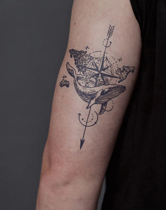 Compass Whale