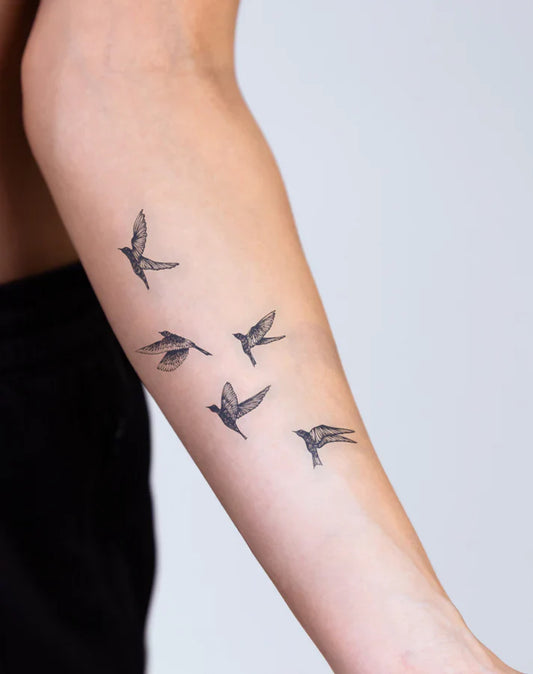 Herd Of birds
