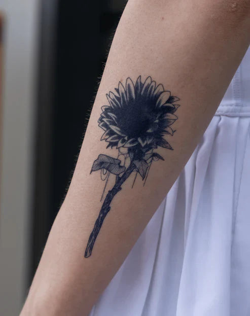 Sunflower Stem