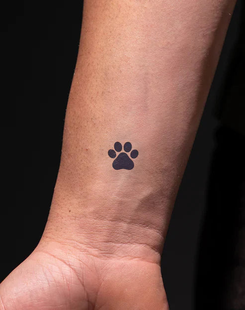 Paw