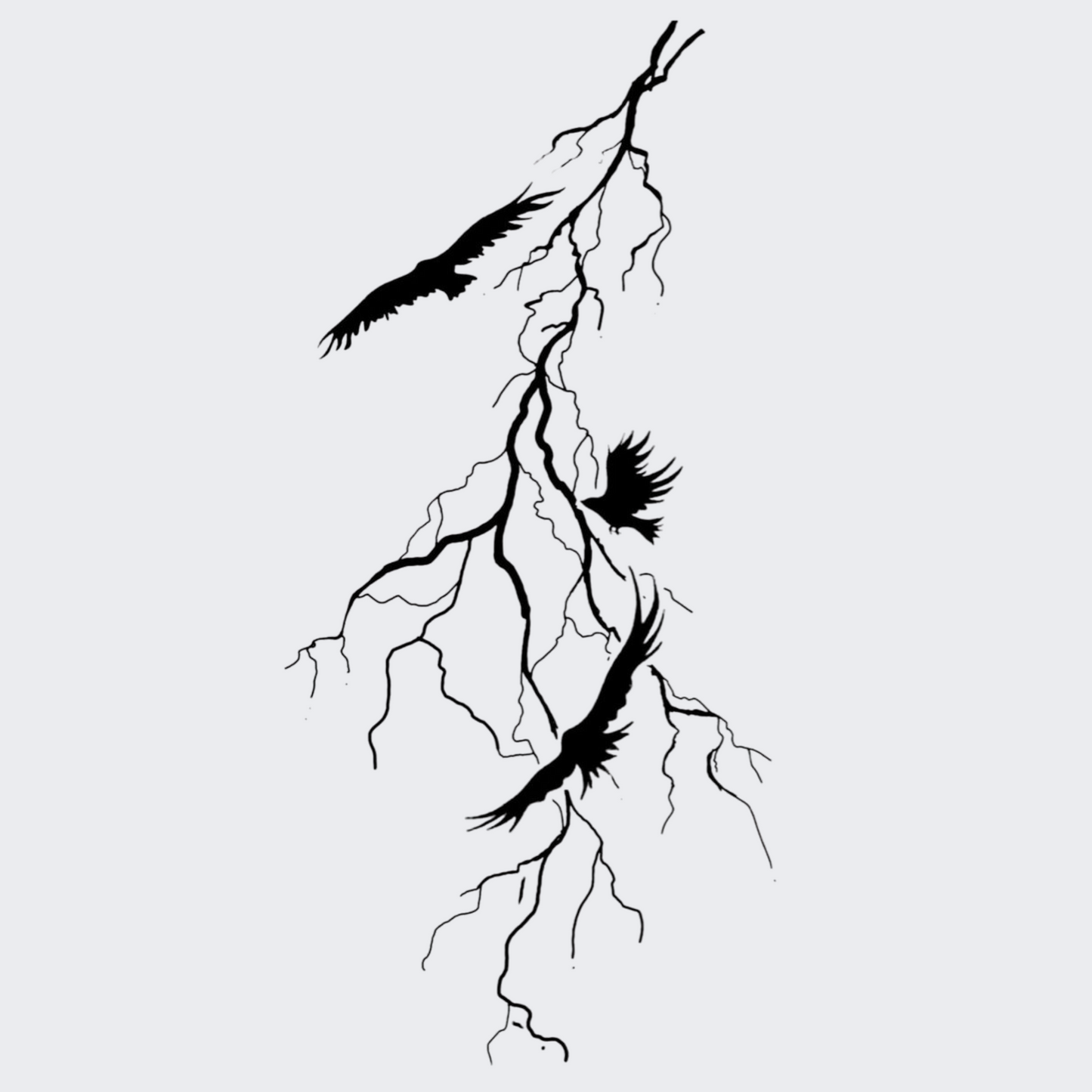 Veins