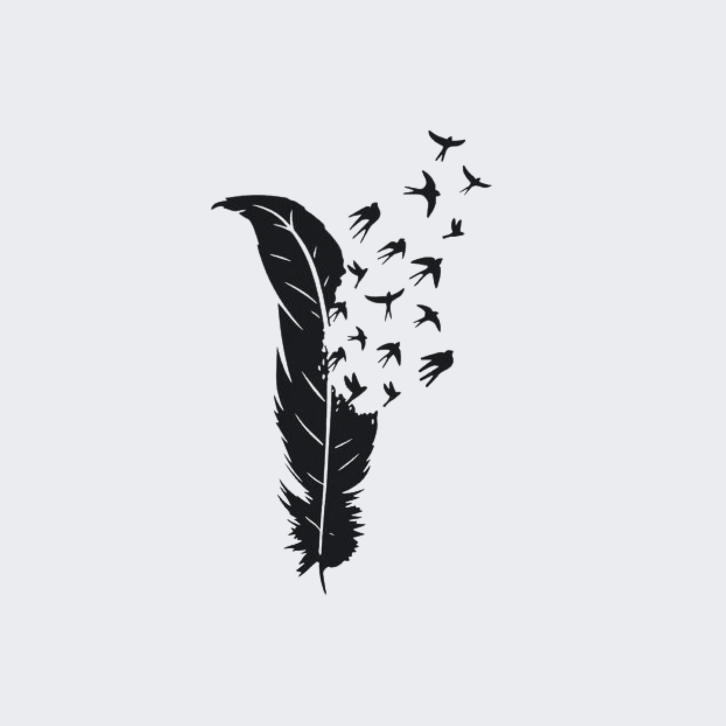 Birds Feather