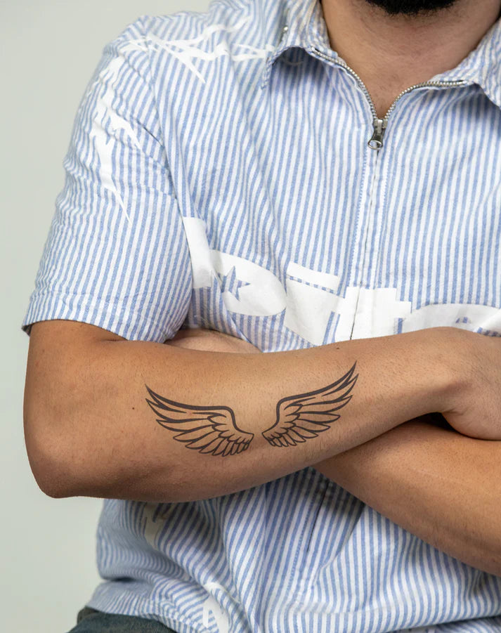 Flying Wings